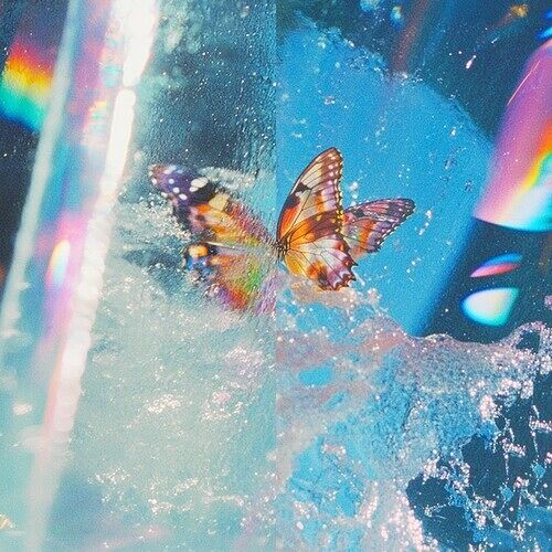 Daphni - Butterfly [Compact Discs]