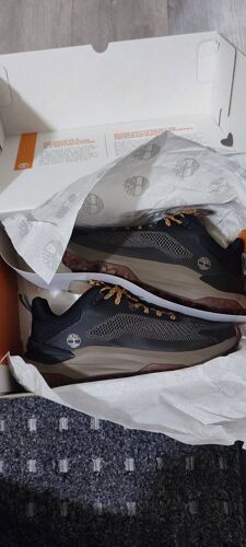 Timberland Motion Access