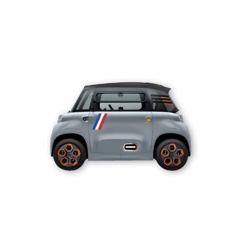 Kit Autocollants Deco Ami France -2 Cotes- Pour Voiture Sans Permis Abs
