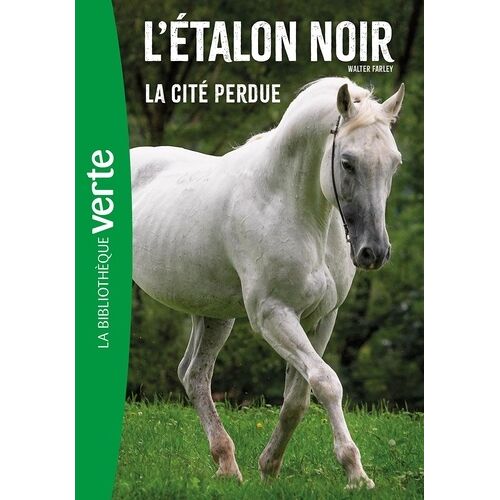 L'etalon Noir - Tome 20 - La Cité Perdue