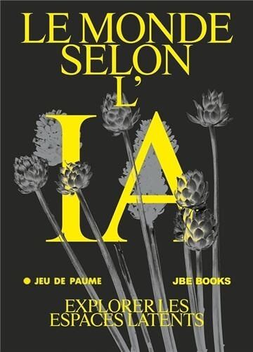 Le Monde Selon L'ia - Explorer Les Espaces Latents