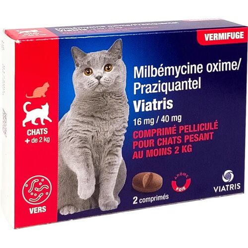 Milbemycine / Praziquantel Viatris Chat 2 Comprimés