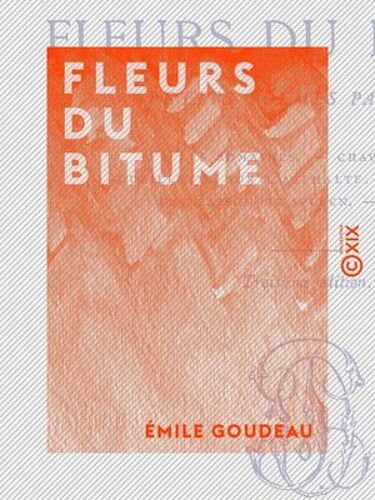 Fleurs Du Bitume