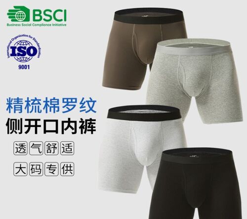 Slips Pour Adolescents, Style Européen Et Américain, Confortables, Antibactériens, Respirants, Taille Large, 100 % Coton, Pour Homme