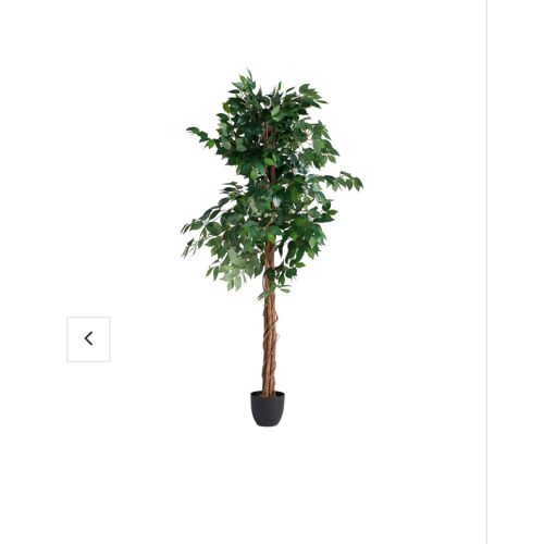 Plante artificielle 