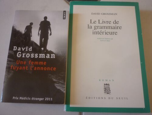 David Grossman, Grand Écrivain D'Israël, Deux Gros Romans : Le Livre De La Grammaire Intérieure (Seuil Cadre Vert) + Une Femme Fuyant L'Annonce (Poche Points)