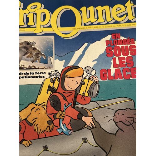 Fripounet  N° 14 : En Plongée Sous Les Glaces