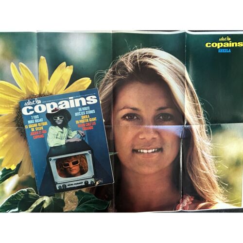 Salut Les Copains N° 122 10 1972 ° Poster Géant Sheila 7 Fois Mike Brant Polnareff Sylvie Vartan Julien Clerc Stones