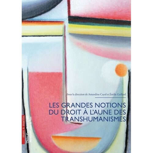 Les Grandes Notions Du Droit À L'aune Du Transhumanisme