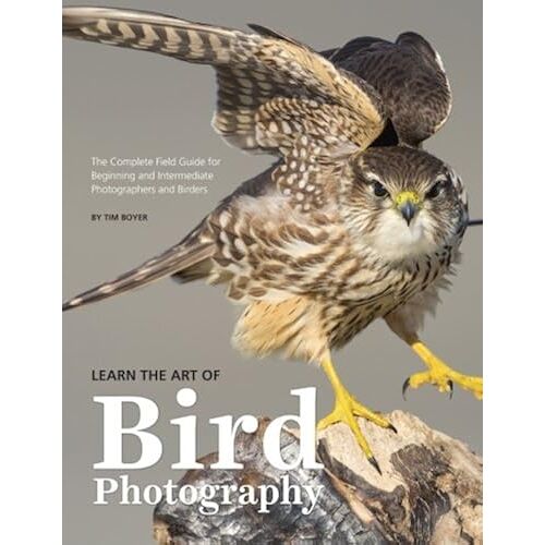 Learn The Art Of Bird Photography: The Complete Field Guide For Beginning And Intermediate Photographers And Birders