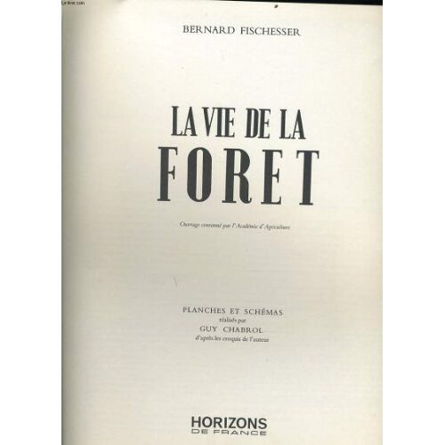 La Vie Dans La Foret