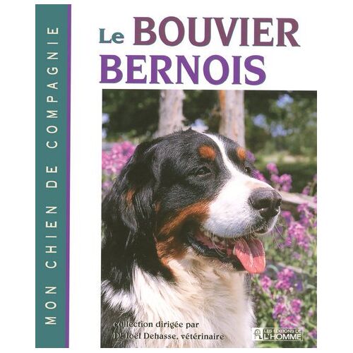 Bouvier Bernois