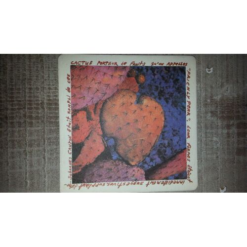 Sous-Bock Art 1664 Édition 95 Elizabeth Lennard