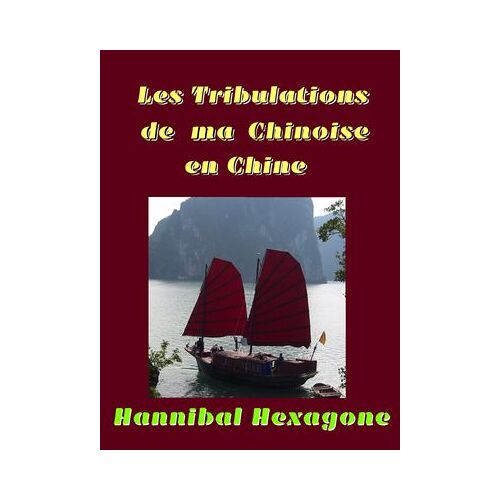 Les Tribulations De Ma Chinoise En Chine