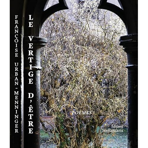 Le Vertige D'être