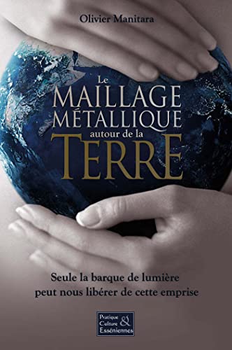 Le Maillage Metallique Autour De La Terre