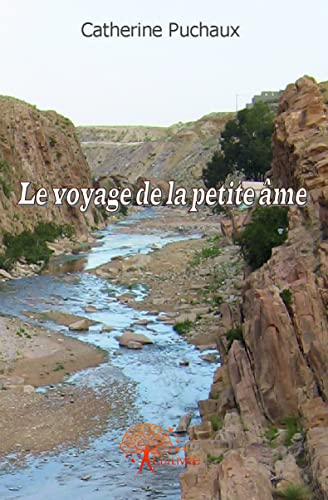 Le Voyage De La Petite Âme