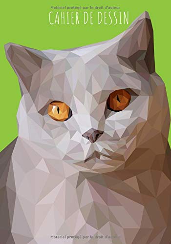 Cahier De Dessin: Carnet De Croquis Grand Format Pour Dessin, Peinture, Aquarelle, Création: 100 Pages À Remplir. Cahier Et Carnet De Croquis Pour Artiste, Peinture. Art Plastique. Papier Blanc Idéal