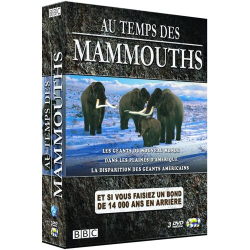 Coffret Au Temps Des Mammouths