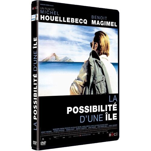 La Possibilité D'une Île