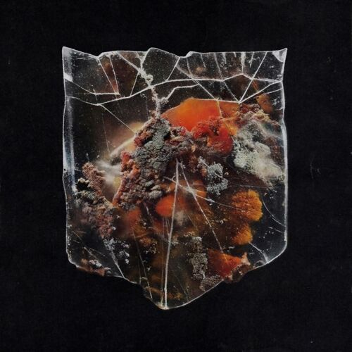 Death & Connection - Splattered Milk/Black Orange Vinyl