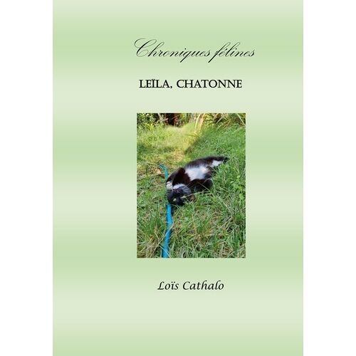 Leïla, Chatonne - Chroniques Félines