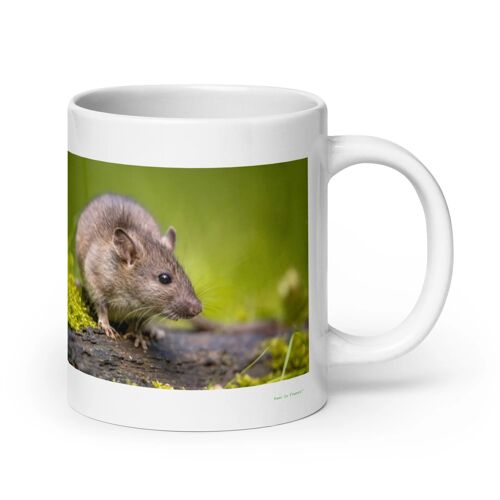 Mug Rat, Le Survivant Astucieux 567 G