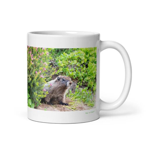 Mug Marmotte D'amérique, La Gardienne Silencieuse Du Temps Sur Terre 312 Ml