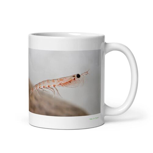 Mug Krill, Le Minuscule Pilier De La Vie Océanique 312 G