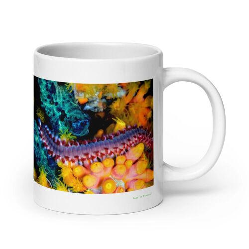 Mug Ver De Mer, Le Fouisseur Silencieux Sous Les Vagues 567 G