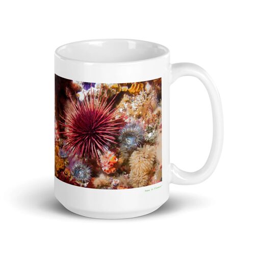 Mug Oursin, Le Gardien Caché Des Fonds Marins 425 Ml