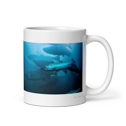 Mug Saumon, L'infatigable Voyageur Des Courants 312 Ml