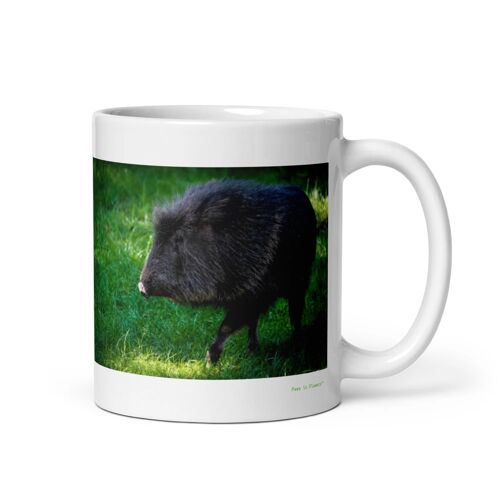 Mug Pécari, Le Robuste Voyageur De La Forêt 312 G