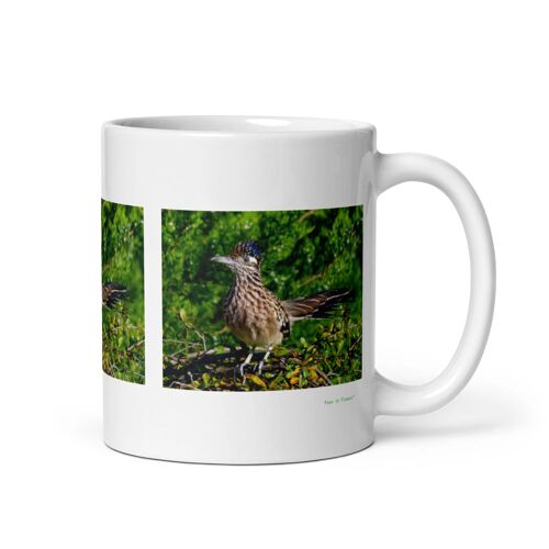 Mug Géocoucou, L'esprit Rapide Du Désert 312 Ml
