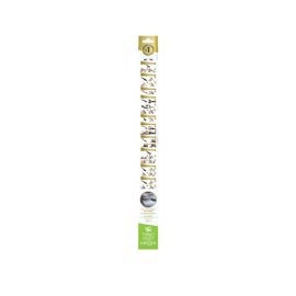 2 Balais Essuie-Glace Valeo Plat 483