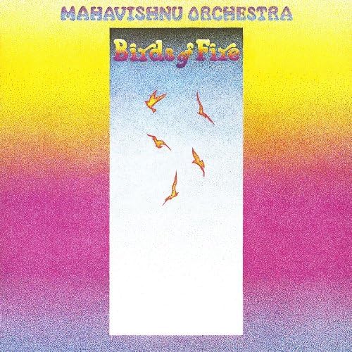 Birds Of Fire [12 Inch Analog]