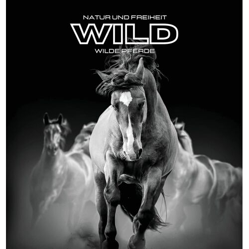 Natur Und Freiheit Wild Wilde Pferde