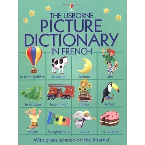Usborne Picture Dictionary In French (Usborne Everyday Words)