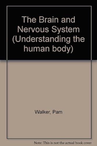 The Brain And Nervous System (Understanding The Human Body)