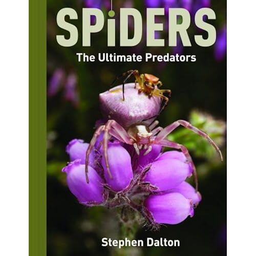 Spiders: The Ultimate Predators