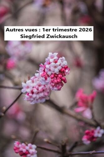Autres Vues : 1er Trimestre 2026