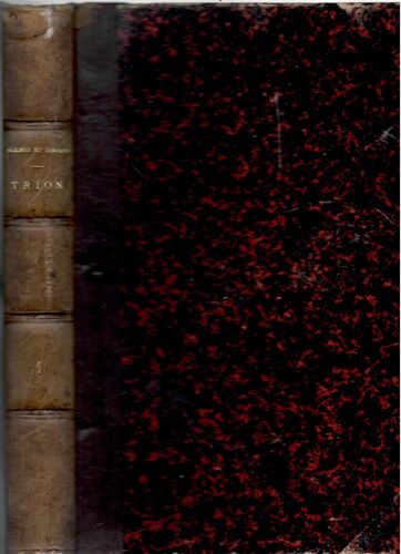 Trion Antiquites Première Partie : Inscriptions