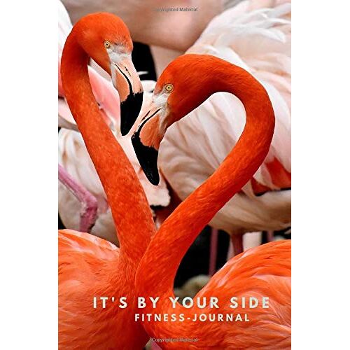 It's By Your Side: Fitness Journal, Line Diary, Journal, Notebook, Diary, Dimension 6 X 9 Inches, Soft Matte Cover