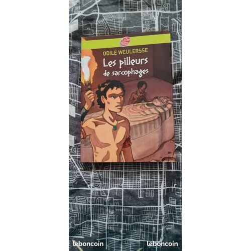 Livre : Les Pilleurs De Sarcophages