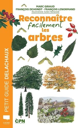 Reconnaître Facilement Les Arbres