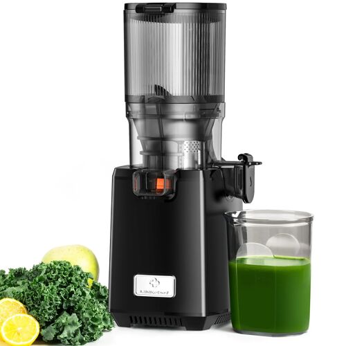 LINKChef SJ-052-EU-BL Centrifugeuse - CE Certifié 250W Puissance 1.8L Grande capacité Pression à froid à vitesse lente (50-65 tr/min) Gain de temps Installation facile - Noir