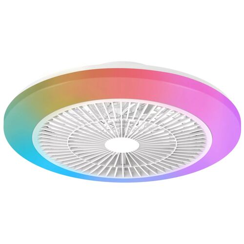 Philips Ventilateur De Plafond Amigo 40 (Lumière) + 20 W (Ventilateur)