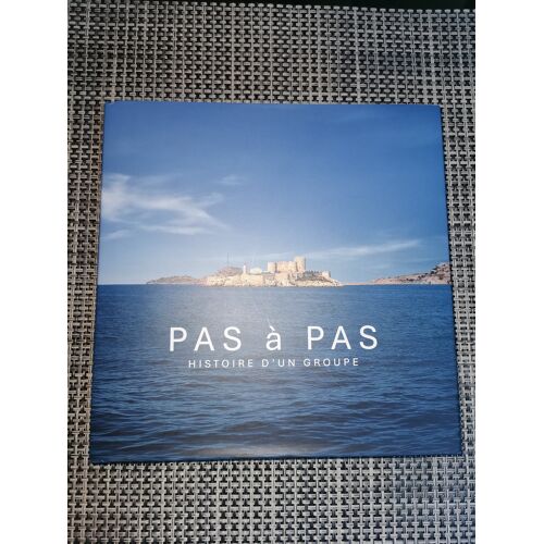 Pas À Pas Histoire D'Un Groupe, Le Livre Des 120 Ans Du Groupe Snef.