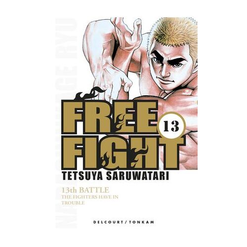 Free Fight T13