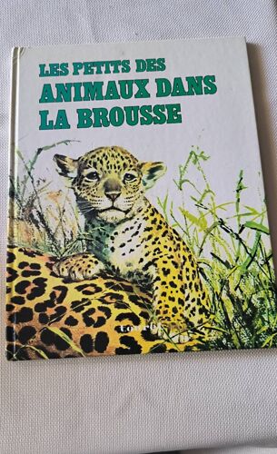 Les Petits Des Animaux Dans La Brousse